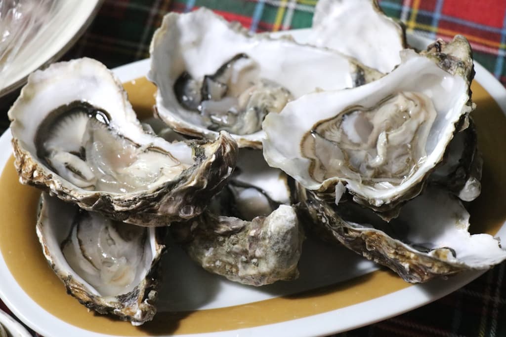 heiliger-abend-cena-abendessen (5)