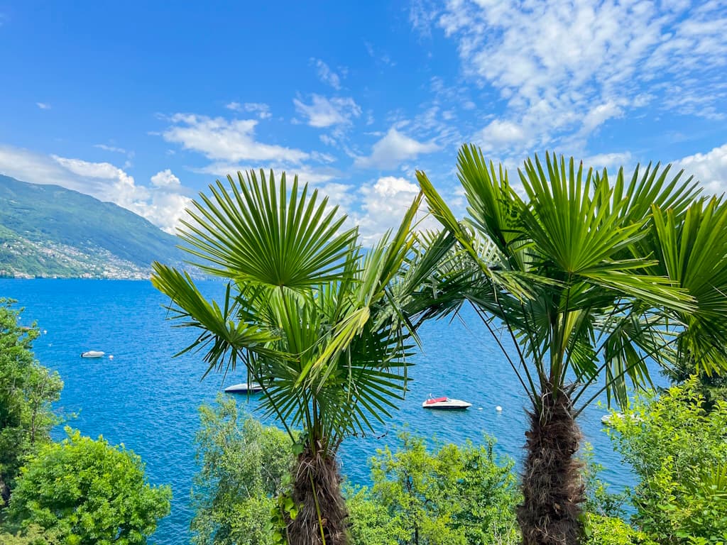 lakeview-cannobio-camping-ago-maggiore (8)