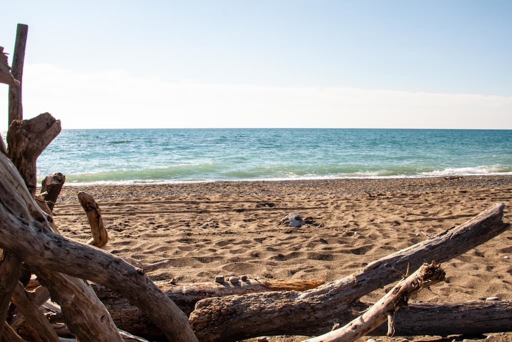 The beach of Bibbona is located in Tuscany.
