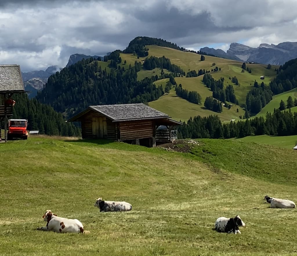 sued-tirol-trentino-vera-sulima (6)
