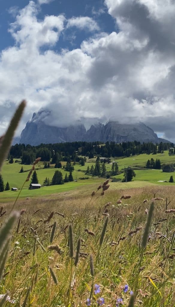 sued-tirol-trentino-vera-sulima (5)