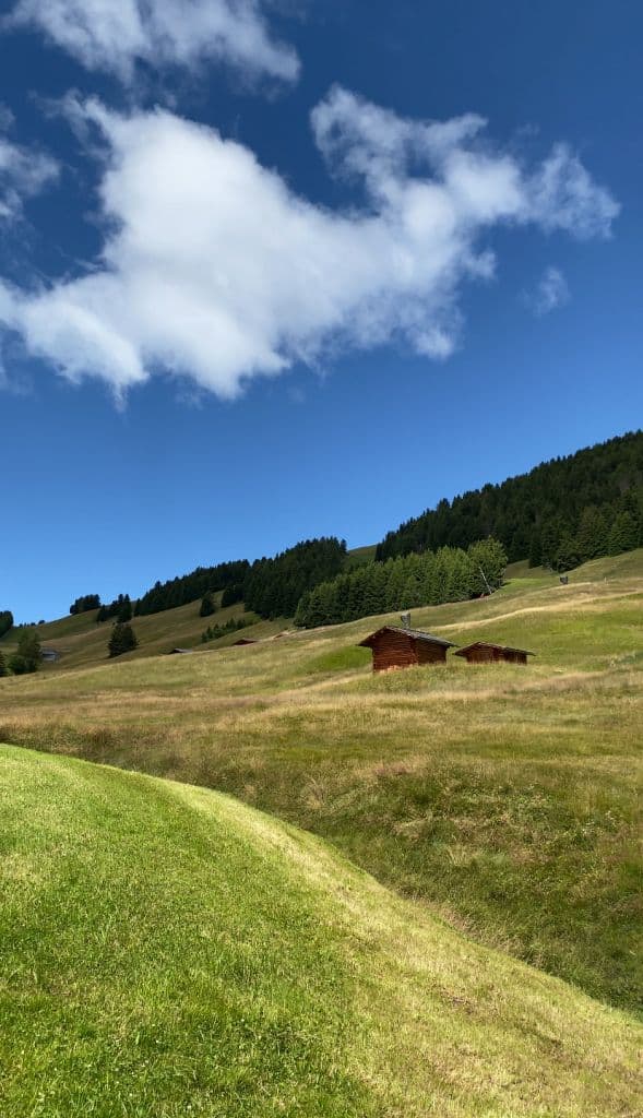 sued-tirol-trentino-vera-sulima (4)